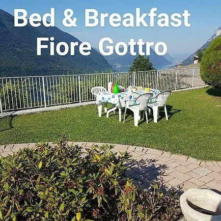 Fiore 3*